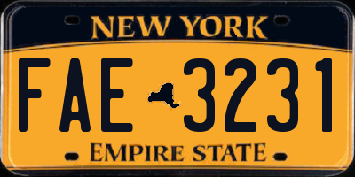 NY license plate FAE3231