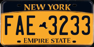 NY license plate FAE3233
