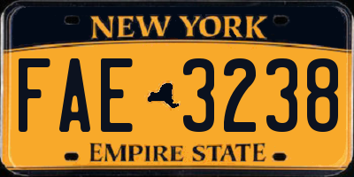 NY license plate FAE3238