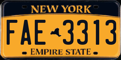 NY license plate FAE3313
