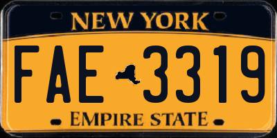 NY license plate FAE3319