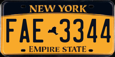 NY license plate FAE3344