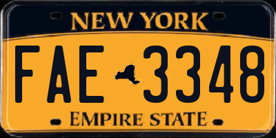 NY license plate FAE3348