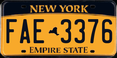 NY license plate FAE3376