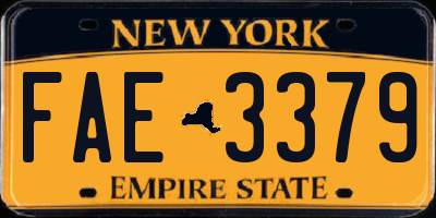 NY license plate FAE3379