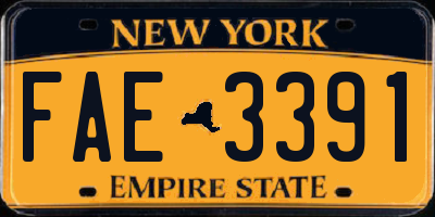 NY license plate FAE3391