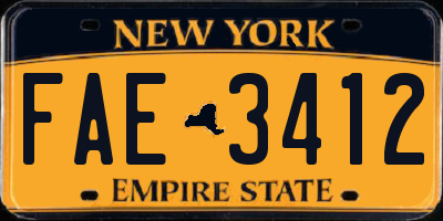 NY license plate FAE3412