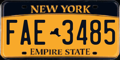 NY license plate FAE3485