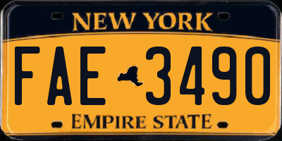NY license plate FAE3490