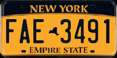 NY license plate FAE3491
