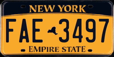 NY license plate FAE3497