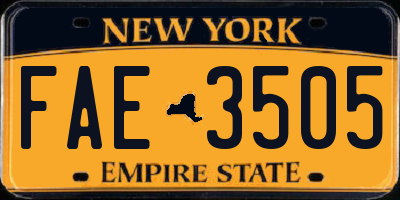 NY license plate FAE3505