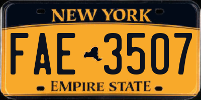 NY license plate FAE3507