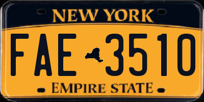 NY license plate FAE3510