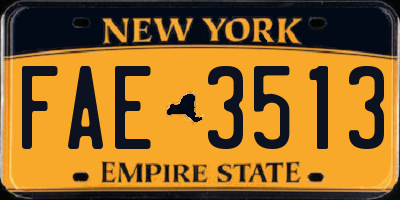 NY license plate FAE3513