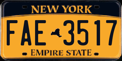 NY license plate FAE3517