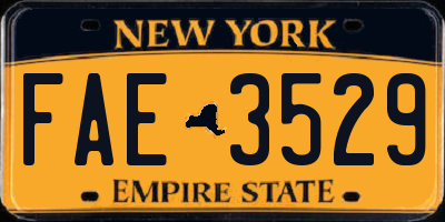 NY license plate FAE3529