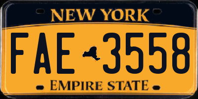 NY license plate FAE3558