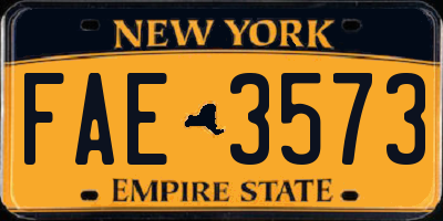 NY license plate FAE3573