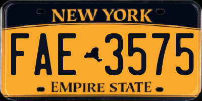 NY license plate FAE3575