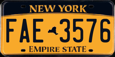 NY license plate FAE3576