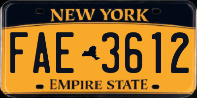 NY license plate FAE3612