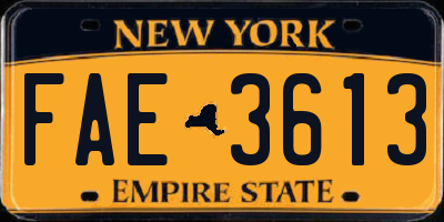 NY license plate FAE3613