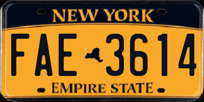NY license plate FAE3614