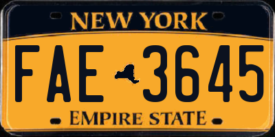 NY license plate FAE3645