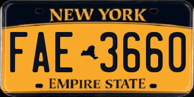 NY license plate FAE3660