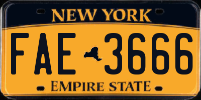 NY license plate FAE3666