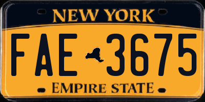 NY license plate FAE3675