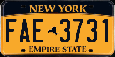 NY license plate FAE3731