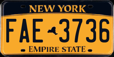 NY license plate FAE3736