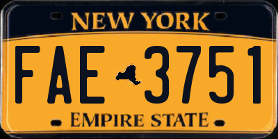 NY license plate FAE3751
