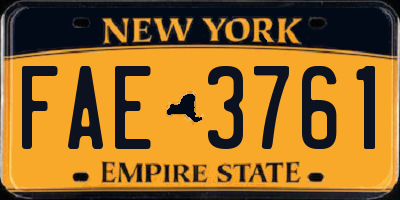 NY license plate FAE3761