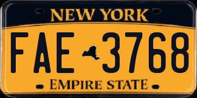 NY license plate FAE3768