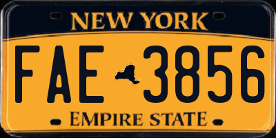 NY license plate FAE3856