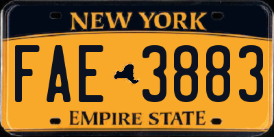 NY license plate FAE3883