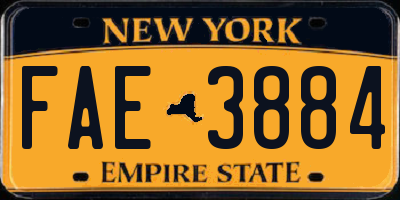 NY license plate FAE3884