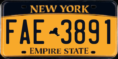 NY license plate FAE3891
