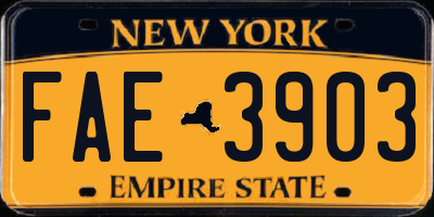 NY license plate FAE3903