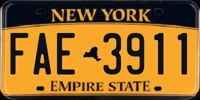 NY license plate FAE3911