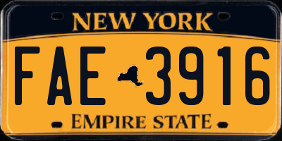 NY license plate FAE3916