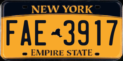 NY license plate FAE3917