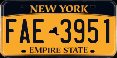 NY license plate FAE3951