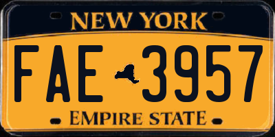 NY license plate FAE3957