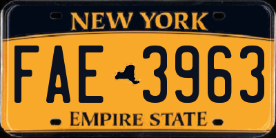 NY license plate FAE3963