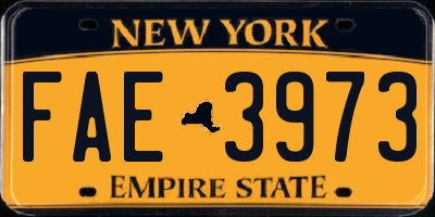 NY license plate FAE3973