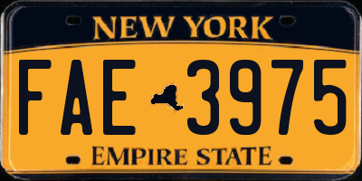 NY license plate FAE3975